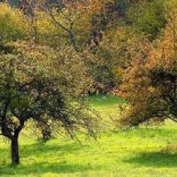 Gestión de residuos Asturias