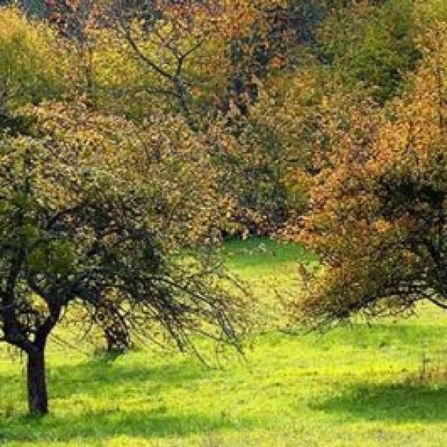 Gestión de residuos Asturias